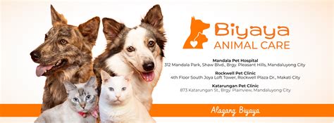 2nd Chance Shelter Singapore .